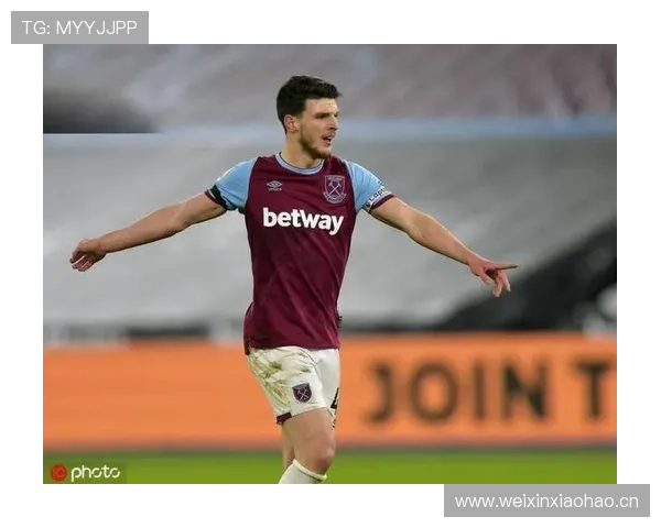 赖斯比赛影响指数 赖斯比赛影响指数